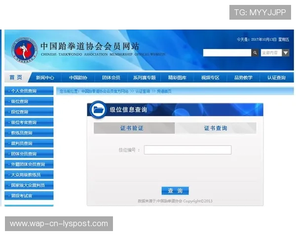 跆拳道学院完善青少年等级考试的评审标准与公开流程，中国青少年跆拳道协会段位